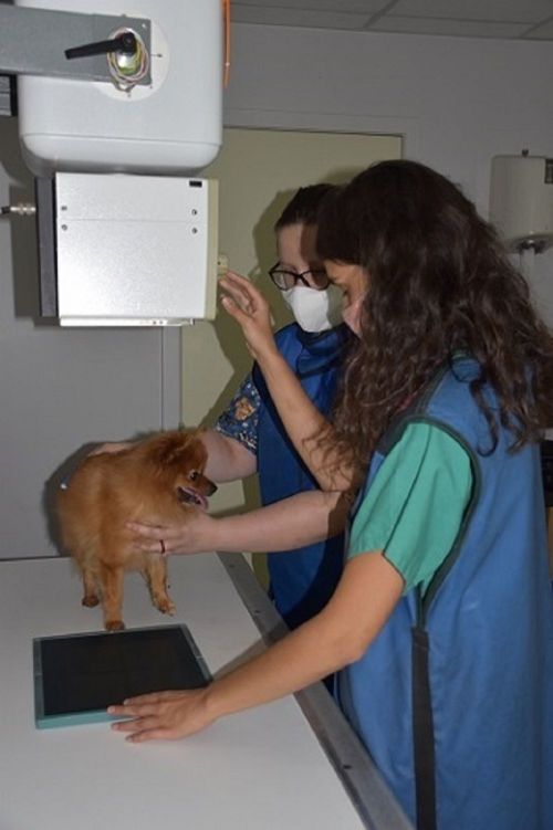 Photographies de nos petits patients