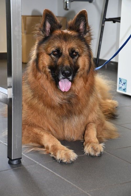 Photographies de nos petits patients