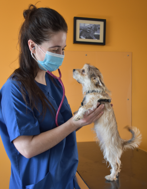 Photographies de nos petits patients