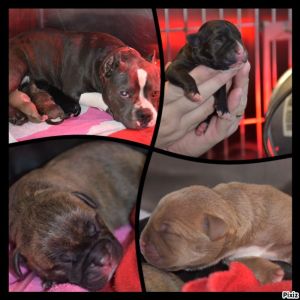 Photographies de nos petits patients