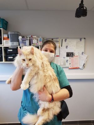 Photographies de nos petits patients