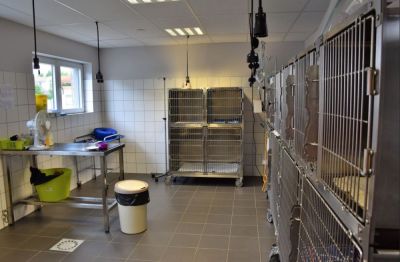 Chenils et chatteries d'hospitalisation