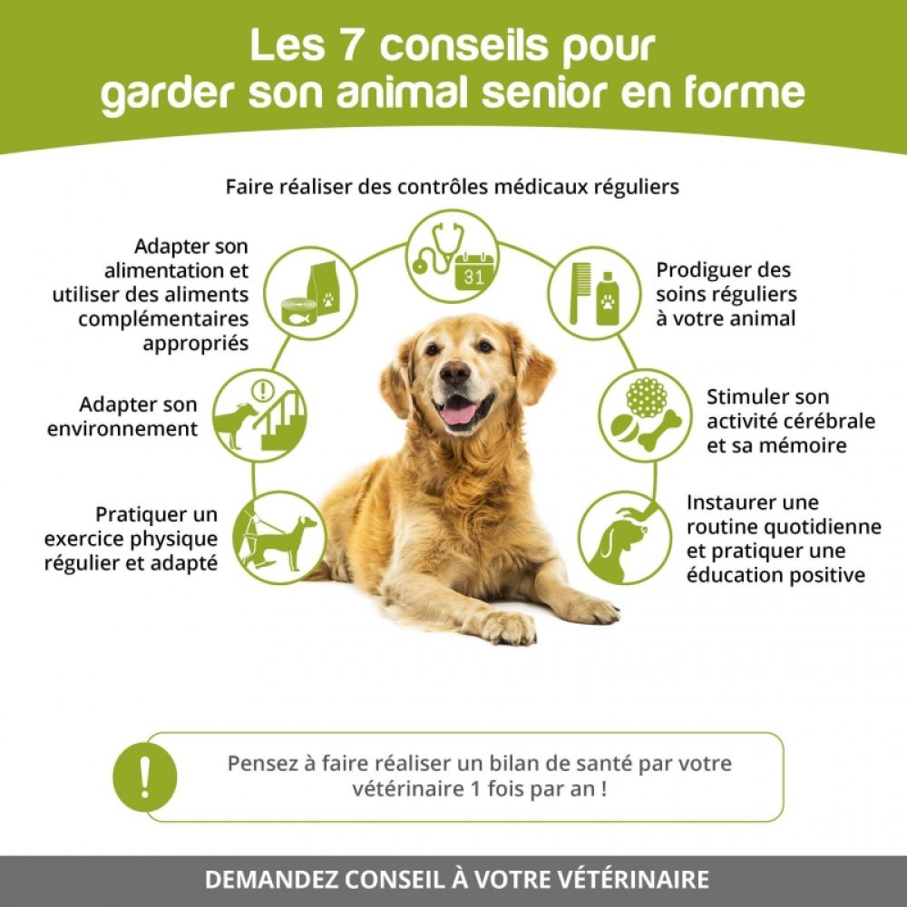Les 7 conseils pour garder son animal senior en forme 