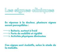 Focus sur l'arthrose