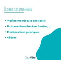 Focus sur l'arthrose