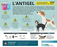 Les dangers de l'hiver
