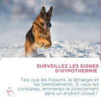 Les promenades en hiver