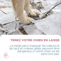 Les promenades en hiver