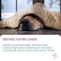 Les promenades en hiver