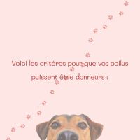 Journée mondiale du don de sang