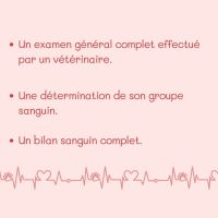 Journée mondiale du don de sang
