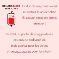 Journée mondiale du don de sang